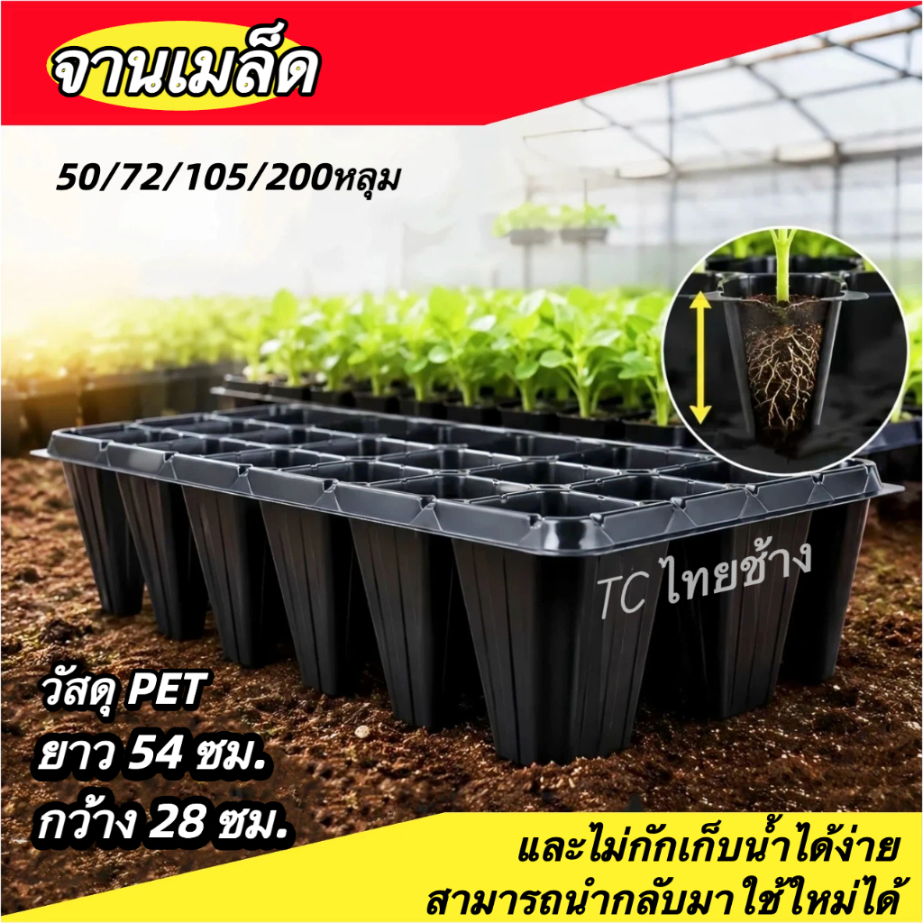 ถาดเพาะกล้า (5-20ใบ) ถาดเพาะชำ 50,72,105,200หลุม ถาดเพาะเมล็ด ต้นอ่อน เมล็ด ไฮโดร ขนาด 54x28ซม ฟองน้ำ
