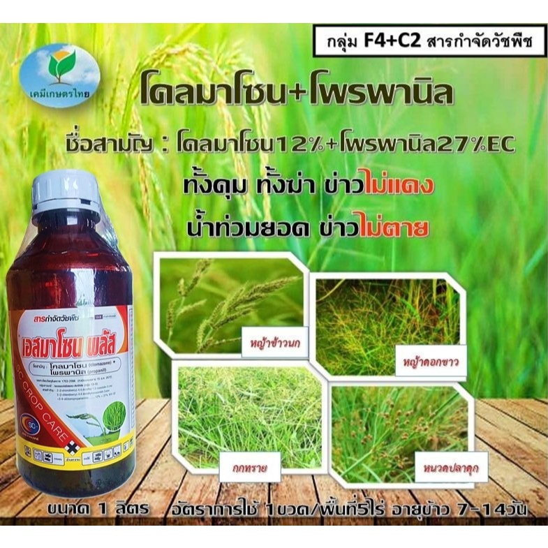 เอสมาโซน โคลมาโซน + โพรพานิล 1ลิตร ยาคุม-ฆ่า ในนาข้าว กำจัดหญ้าวข้าวนก หญ้าดอกขาว หญ้ากระดูกไก่