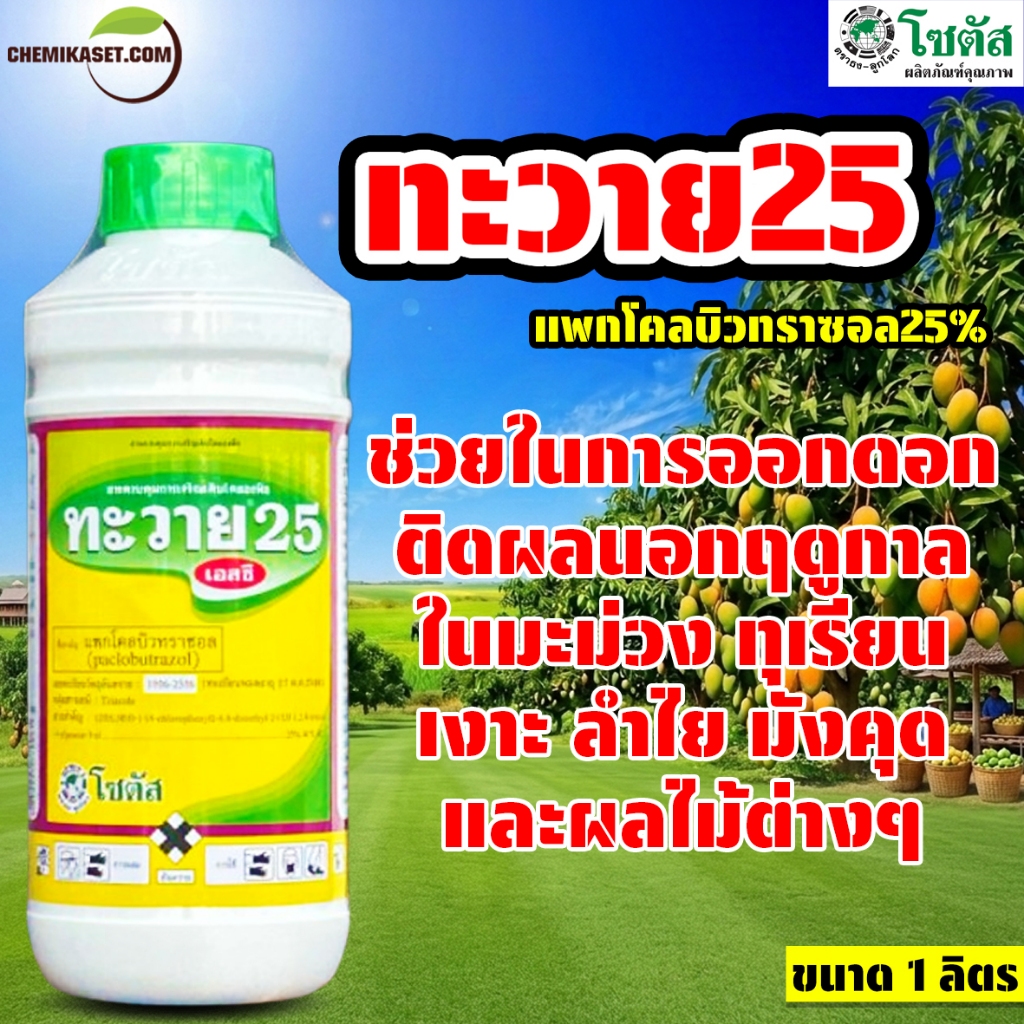 ทะวาย25 ขนาด 1 ลิตร สารกระตุ้นการออกดอกนอกฤดู ใช้ได้ทั้งไม้ดอกและไม้ผล เหมาะกับมะม่วง ทุเรียน