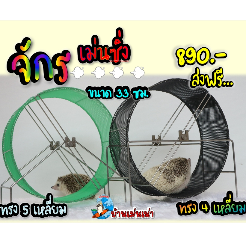 จักรสแตนเลส ขนาด 33cmใหญ่เบิ้ม (Handmade)ล้อวิ่งสัตว์เลี้ยงเม่นแคระ ชูการ์ผู้คิดและผลิตเจ้าแรกของไทย