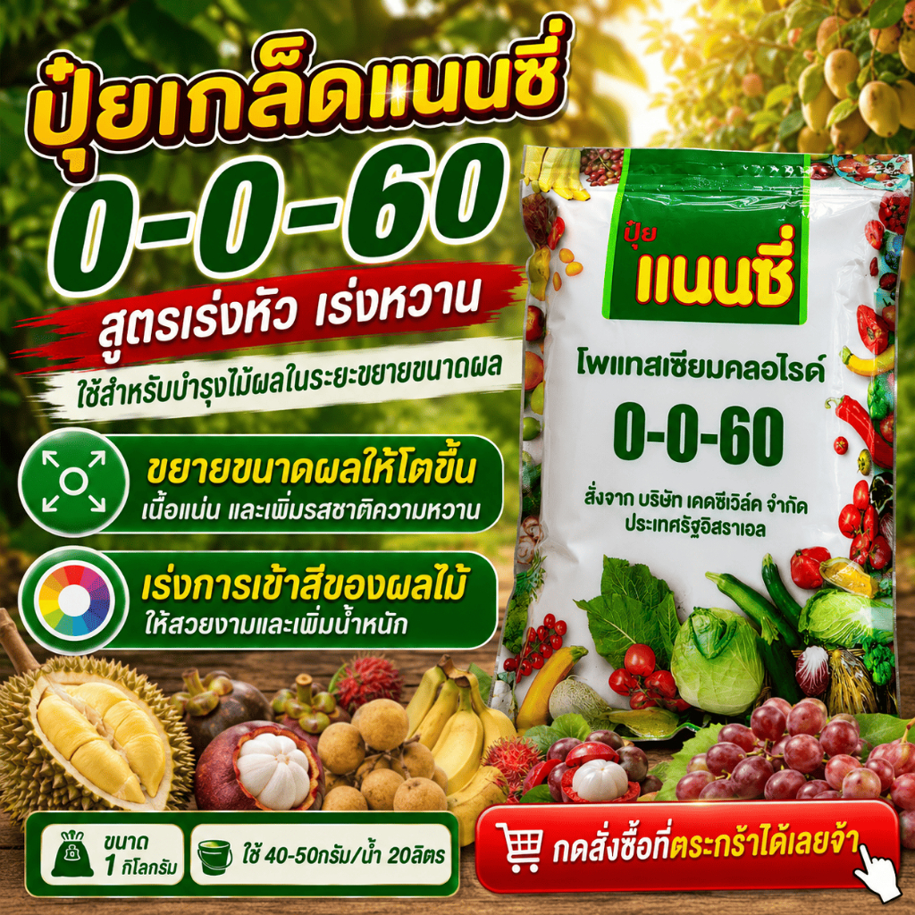 ปุ๋ยเกล็ด แนนซี่ 0-0-60 ขนาด 1 กิโลกรัม สูตรเร่งลงหัว ขยายขนาดผล เพิ่มน้ำหนัก เพิ่มความหวานให้แก่พืช