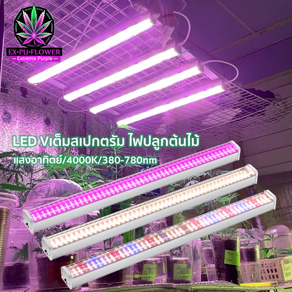 AC100-265V ไฟปลูกต้นไม้กันน้ำ Full Spectrum Grow Lights 25Wไฟเลี้ยงต้นไม้ มาพร้อมกับสายสวิตช์ปลั๊ก