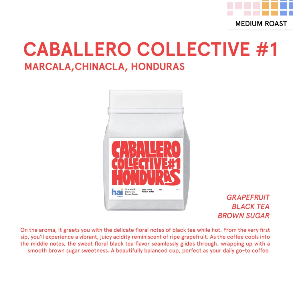 Hai Single Origin Caballero Collective #1, Honduras (Medium Roasted) เมล็ดกาแฟคั่วกลาง