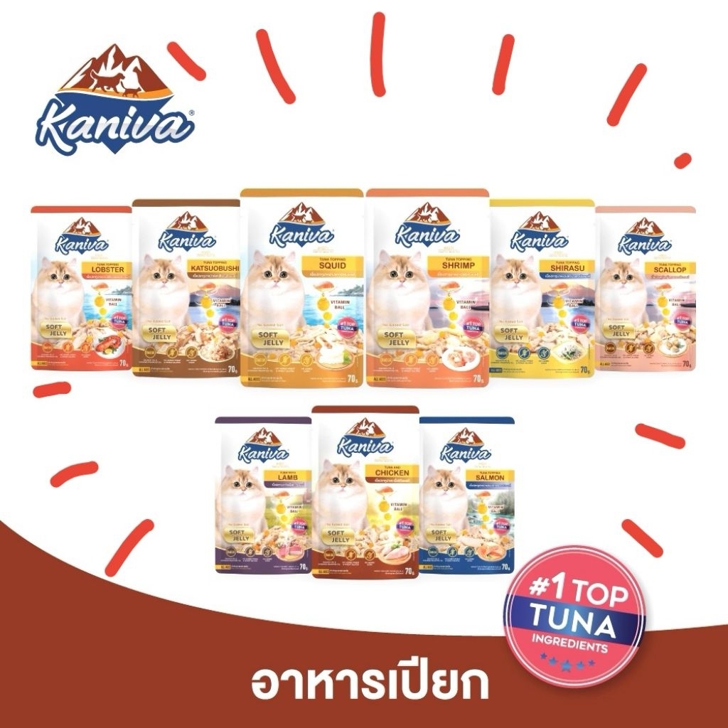 kaniva​ คานิว่า​ ยกลัง​ อาหารเปียกแมว​ ล็อตใหม่​ 70g*48​ ซอง​  แถมเทสเตอร์