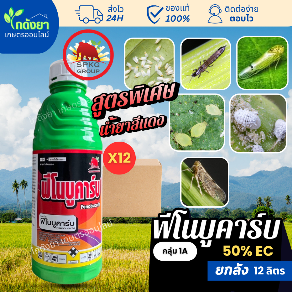ฟีโนบูคาร์บ ยกลัง (12ขวด) สูตรน้ำแดง ตรา แมมมอธแดง ยาน๊อคเร็ว ร่วงไว