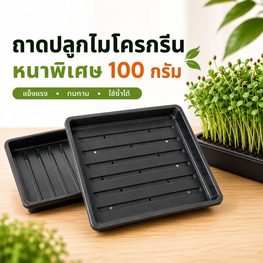 ถาดปลูกไมโครกรีน 27x27 ซม. หนาพิเศษ 100 กรัม | ถาดมีรู / ถาดทึบ | ระบบปลูกไมโครกรีนแบบให้น้ำจากด้านล่าง