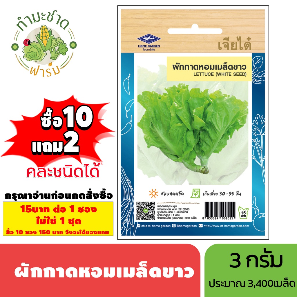 [1ซอง] เจียไต๋ (ซื้อ10แถม2) เมล็ดพันธุ์ ผักกาดหอมเมล็ดขาว ขนาด3กรัม ประมาณ3,400เมล็ด Lettuce ผักสลัด เมล็ดพันธุ์พืช เมล็