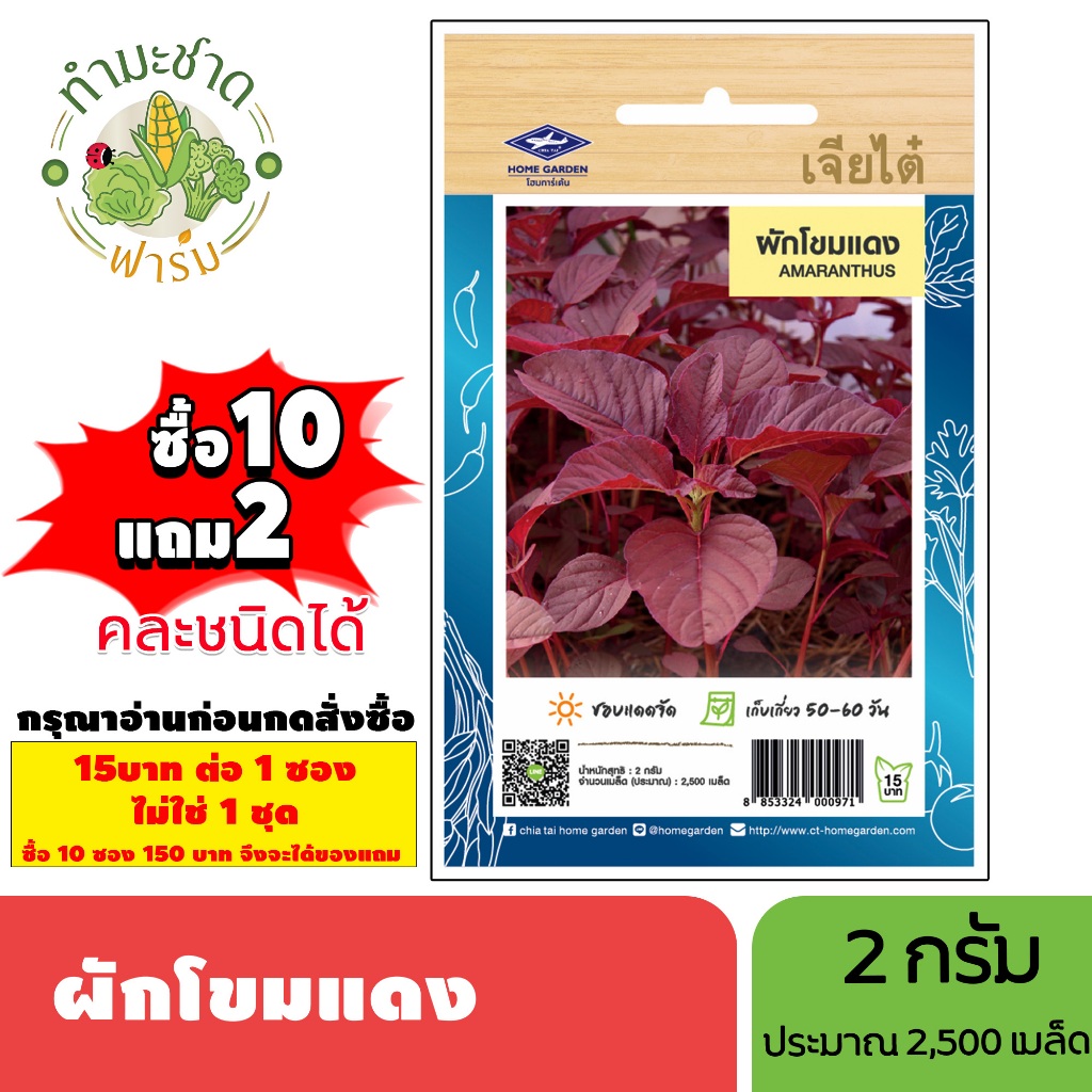 [1ซอง] เจียไต๋ (ซื้อ10แถม2) เมล็ดพันธุ์ ผักโขมแดง ขนาด2กรัม ประมาณ2,500เมล็ด Red Amaranth ผักโขม เมล็ดพันธุ์พืช เมล็ดผัก