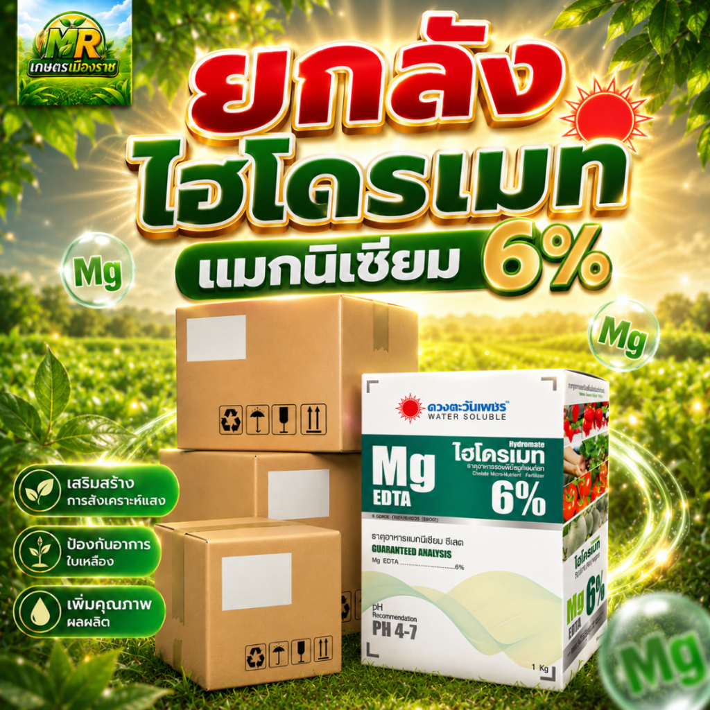 (ยกลัง1kg*10) ไฮโดรเมท แม็กนีเซียม (Mg) 6% Mg-EDTA 1kg #เกษตรเมืองราช #ดวงตะวันเพชร