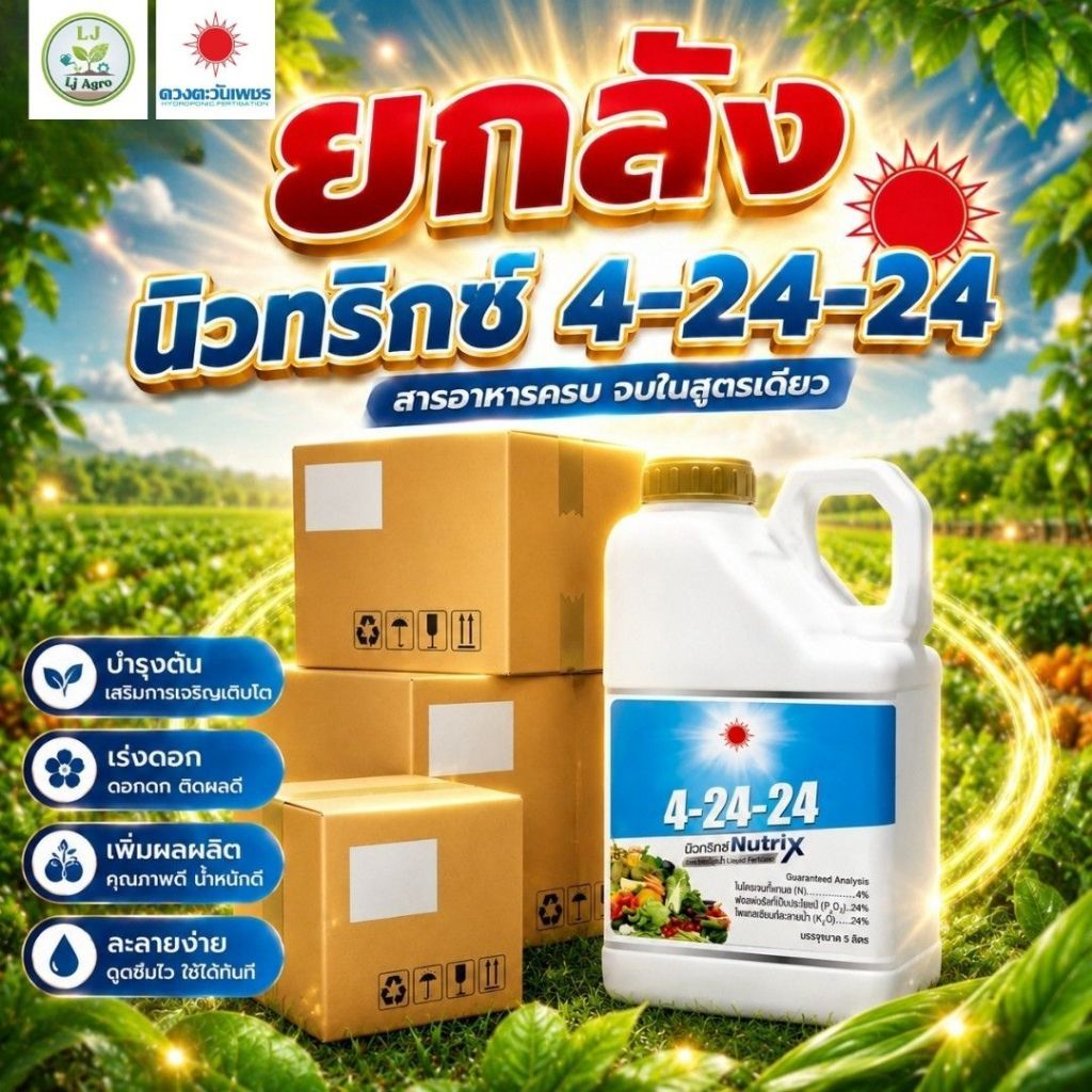 (ยกลัง5L*4) ปุ๋ยน้ำ 4-24-24 แกลอน 5L (ดวงตะวันเพชร) Lj