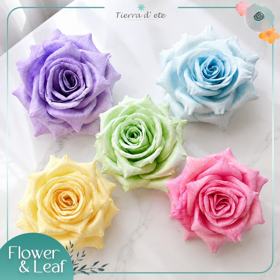 ดอกกุหลาบ กุหลาบไดมอน (หัวดอก) ทำจากลำต้นโสน ขนาด 7-8 Cm.