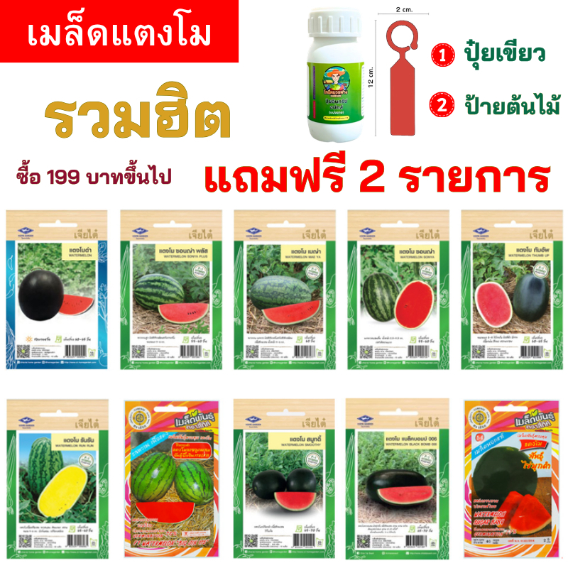 รวมเมล็ดแตงโม ทุกยี่ห้อดัง ของแท้ 100% ซื้อ 199 บาทขึ้นไป แถมฟรี 2 รายการ ออกใบกํากับภาษีได้