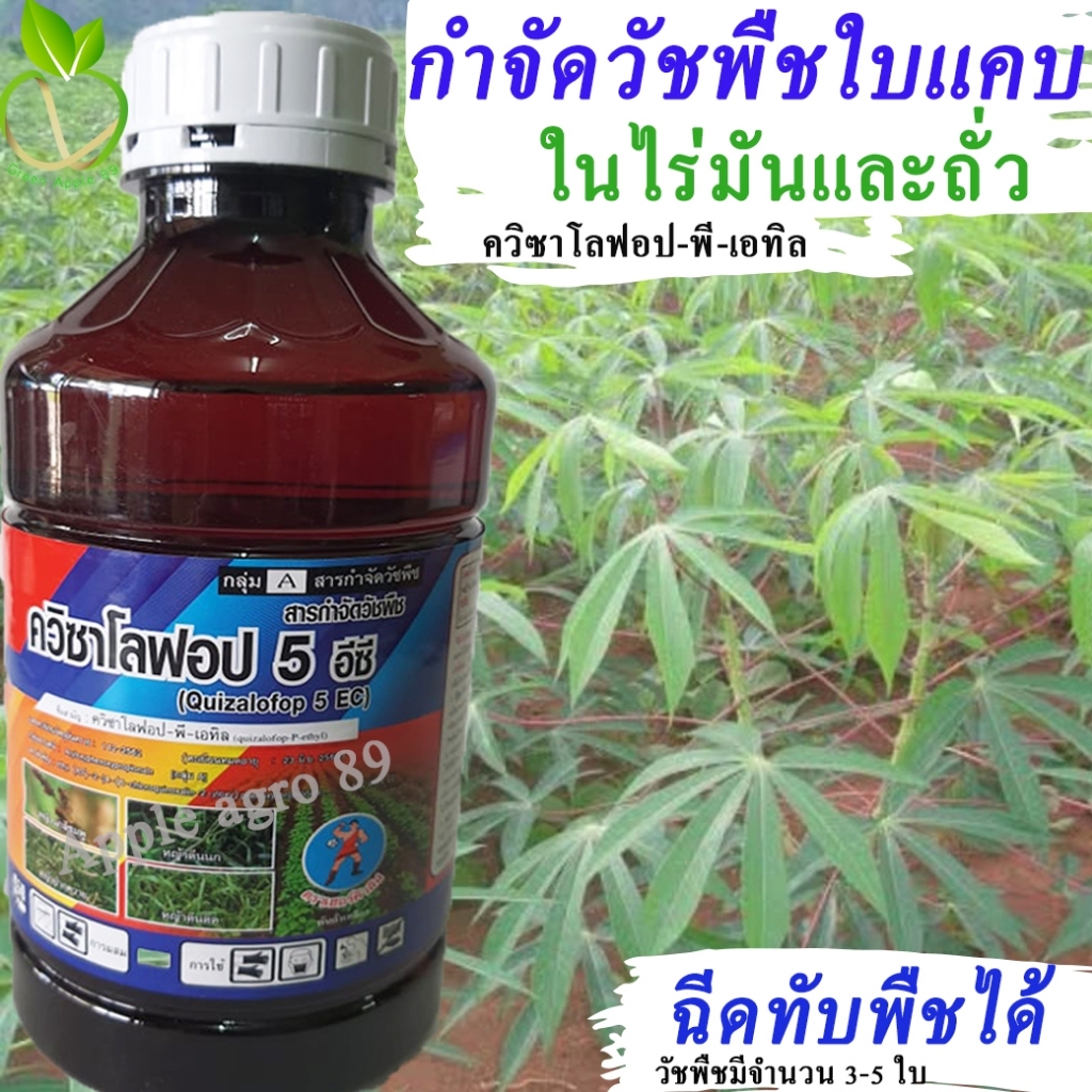 ควิซาโลฟอบ ขนาด 1 ลิตร กำจัดหญ้าใบแคบ  ยาฉีดหญ้าใบแคบ   ควิซาโลฟอบ กำจัดหญ้าใบแคบ ในไร่มัน