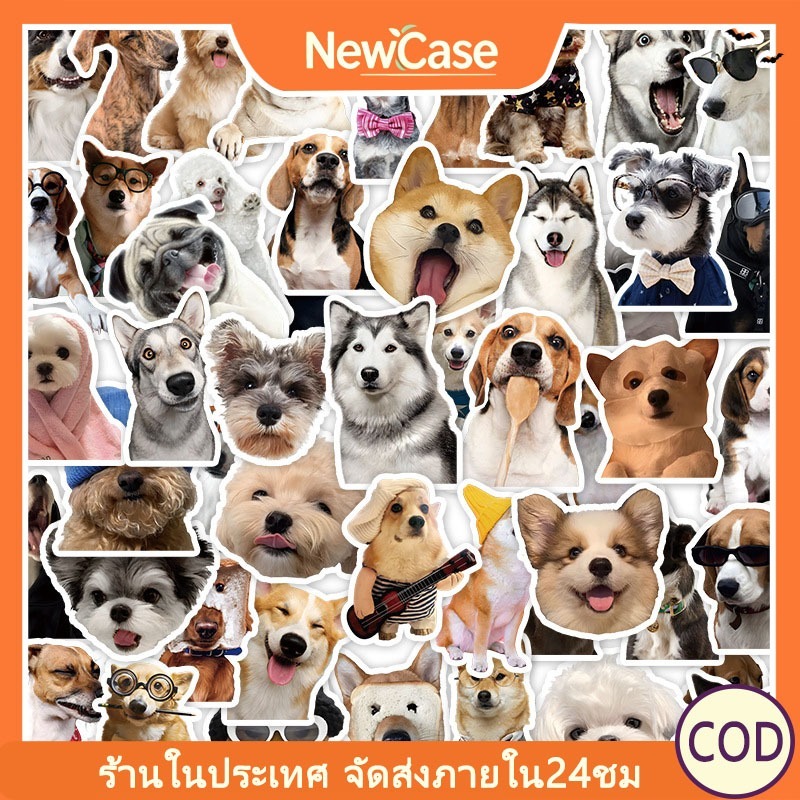 ⚡ส่งจากไทย⚡ สติกเกอร์ INS สติกเกอร์DIY การ์ตูน กันน้ำ ไม่ทิ้งคราบกาว ขนาด 5‑8 ซม. ติดเคสไอแพด สมุดบันทึก แก้วน้ำ