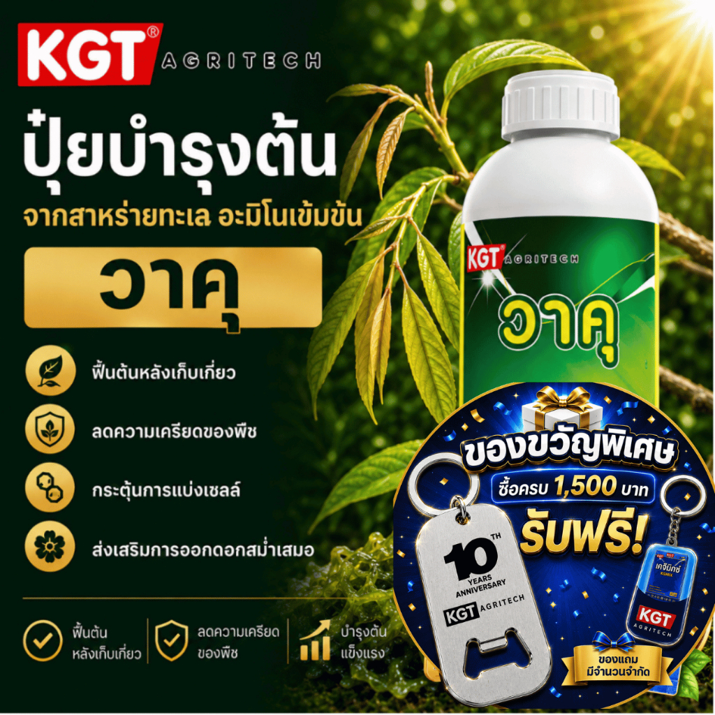 KGT วาคุ สาหร่ายทะเล อะมิโนเข้มข้น ฟื้นต้น ลดความเครียด ปุ๋ยเหลว ขนาด 1 ลิตร
