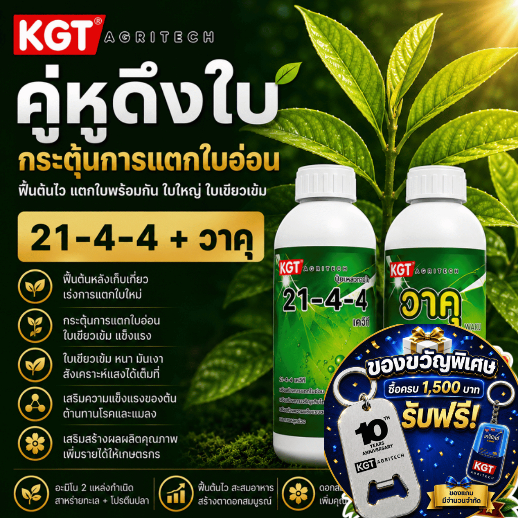 KGT Duo คู่หูดึงใบ 21-4-4 + วาคุ ฟื้นต้น เร่งใบอ่อน แตกใบไว ขนาด 1 ลิตร x 2