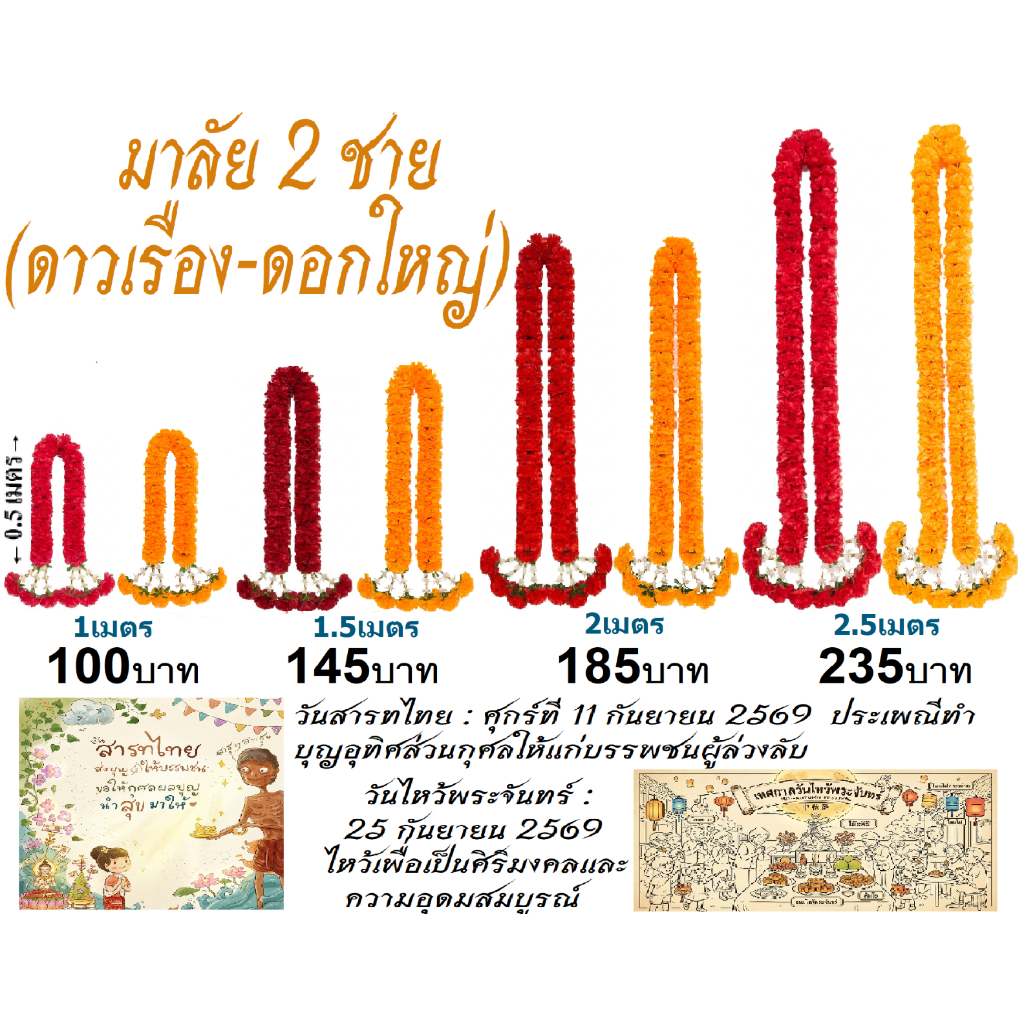 พวงมาลัยดาวเรือง พวงมาลัย 2 ชาย(ดอกใหญ่ 8 เซ็นต์) ความยาว 1, 1.5, 2, 2.5 เมตร ราคาส่ง ถูกที่สุด