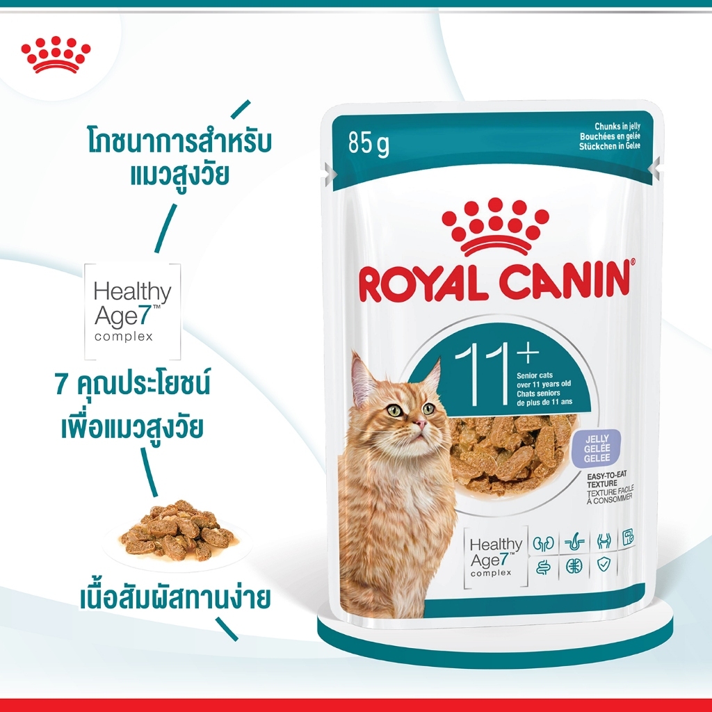 อาหารเปียก royalc canin สำหรับแมวสูงวัย อายุ 11 ปีขึ้นไปชนิดเจลลี่ ROYAL CANIN AGEING 11+ jelly (12ซอง)