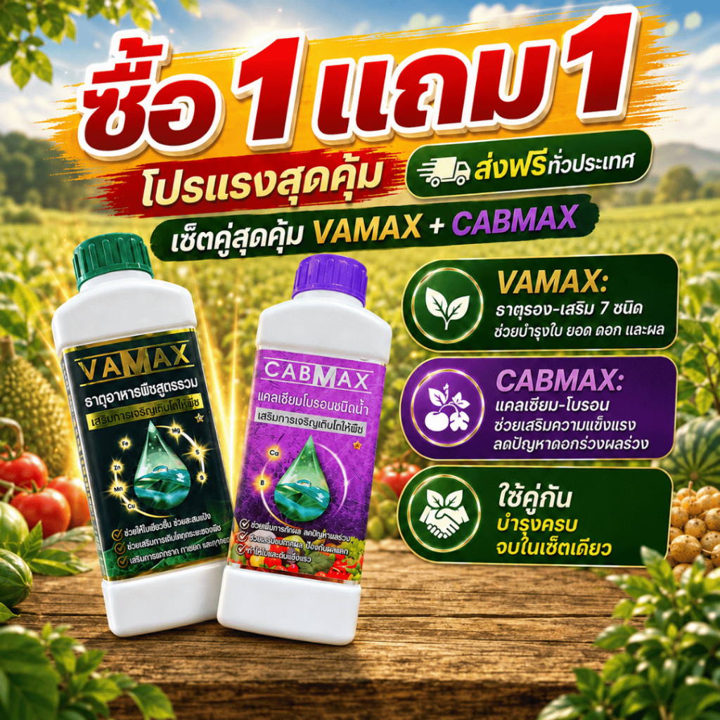 vamax cabmax ปุ๋ยธาตุอาหารพืชสูตรรวม 7 ชนิด และ แคลเซียมโบรอนชนิดน้ำ ขนาด 1 ลิตร แถม 1 ลิตร (vc1)