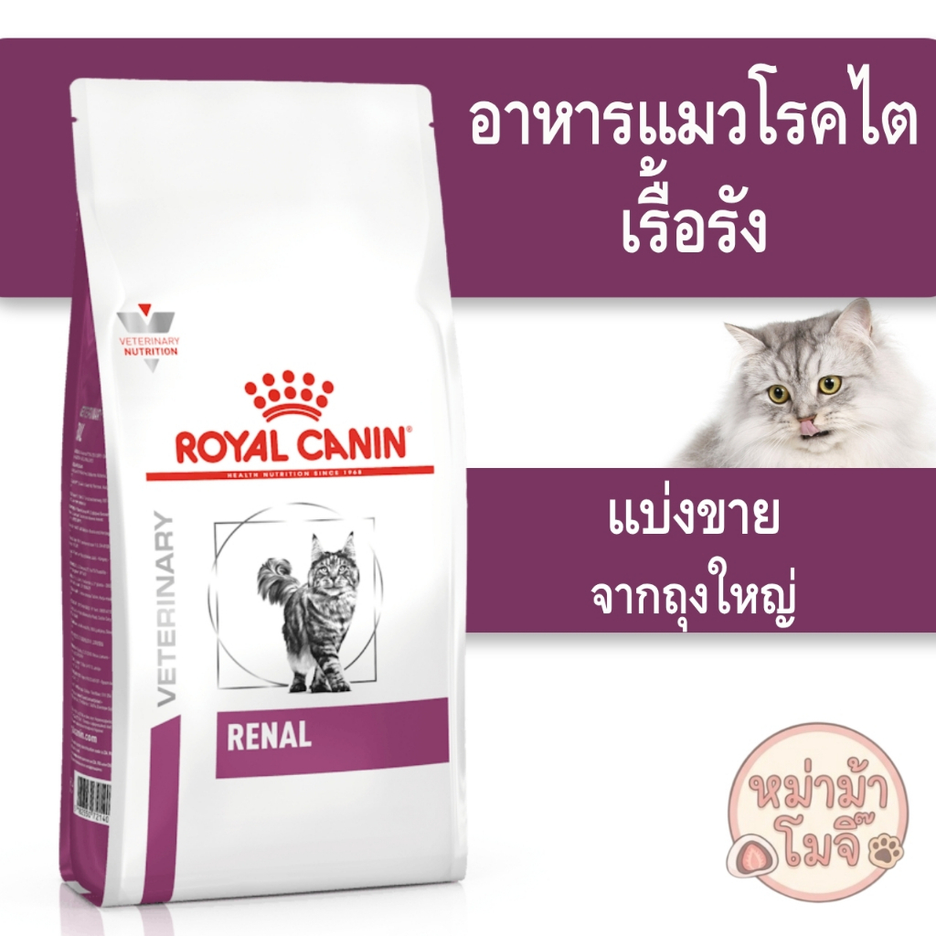⚡️ส่งด่วนทุกวัน⚡️[[แมวเป็นไต]]((แบ่งขาย)) Royal Canin Renal อาหารแมวโรคไต