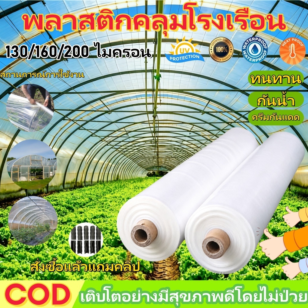 COD พลาสติกคลุมโรง วัสดุ PE (เกรด AAA) หนา 130/160/200ไมครอน