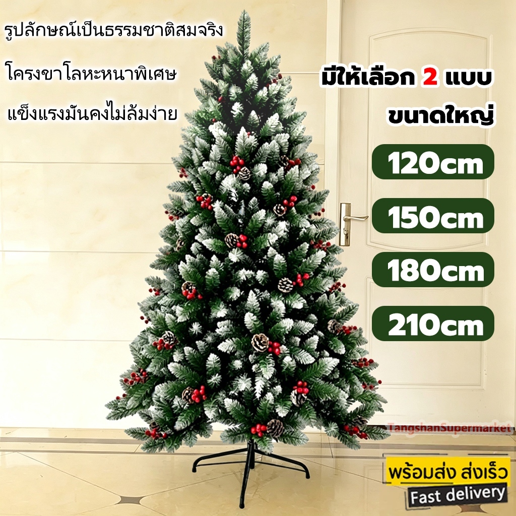 รุ่นพิเศษ ต้นคริสต์มาส มีลูกสนลูกบอลสีแดง ต้นไม้ปลอม คุณภาพสูงสุดPVC 120,150,180,210 cm christmas tree ต้นคริสมาสต์