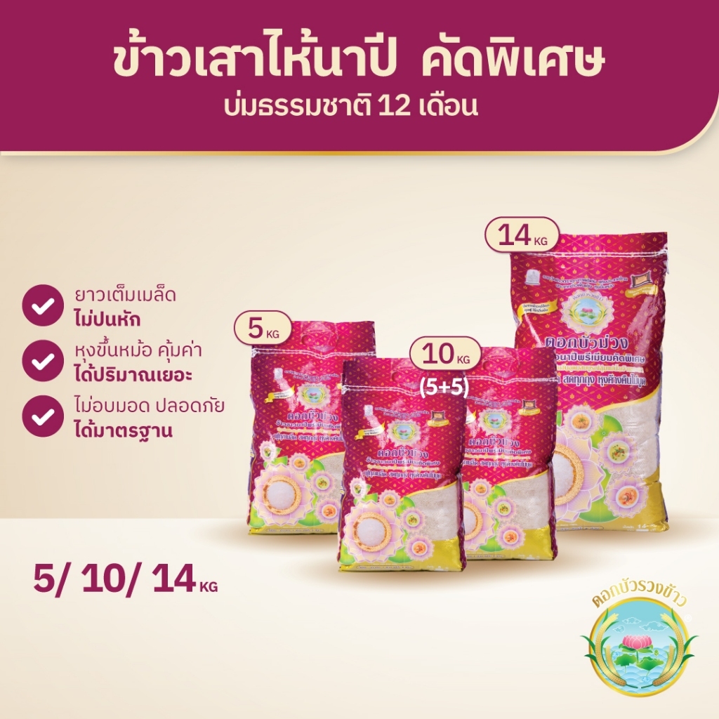 [5/10/14กก] ดอกบัวม่วง - ข้าวเสาไห้ (นาปี) บ่ม12เดือน ข้าวแข็ง หุงร่วนฟู ขึ้นหม้อมาก บูดยาก ไม่ปนเม็ดหัก - ดอกบัวรวงข้าว
