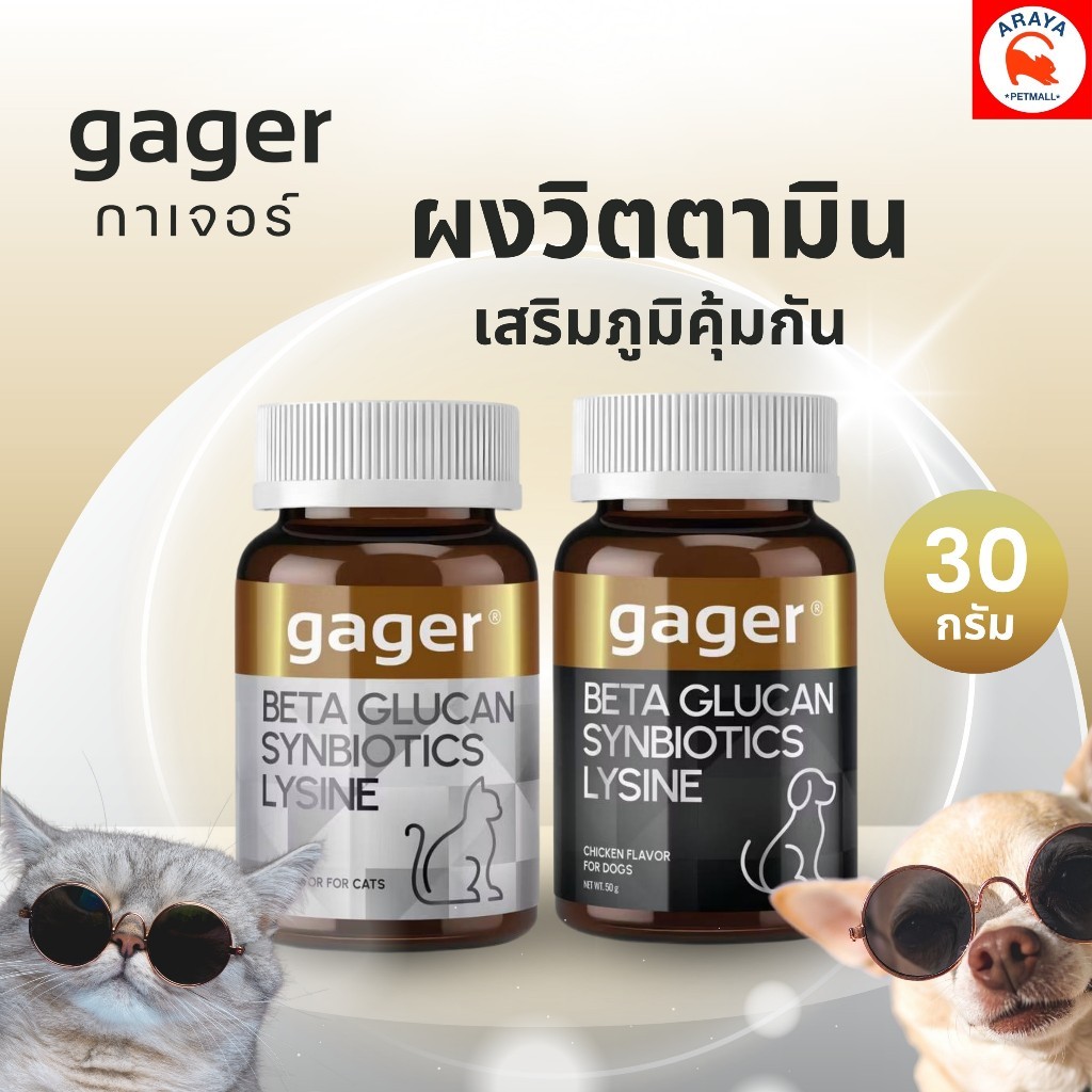 *เทาดำ 30g.* Gager BETA GLUCAN SYNBIOTICS LYSINE 3in1 เสริมภูมิคุ้มกัน