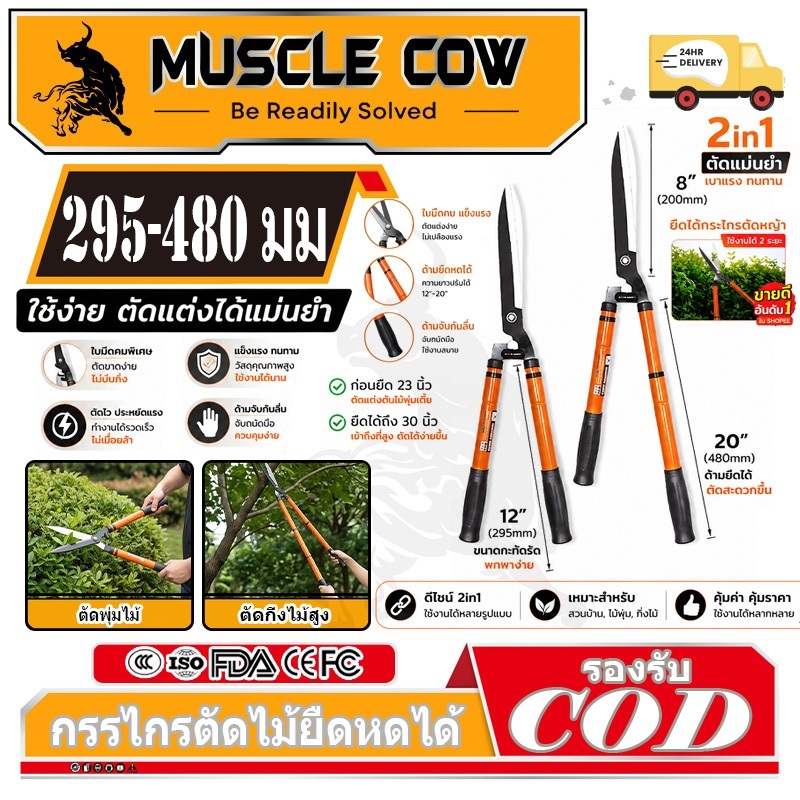 MUSCLE COW กรรไกรตัดหญ้า สามารถยืดได้หดได้ ด้ามเหล็กหุ้มพลาสติก เหมาะสำหรับตัดกิ่งที่สูง กรรไกรตัดกิ่ง