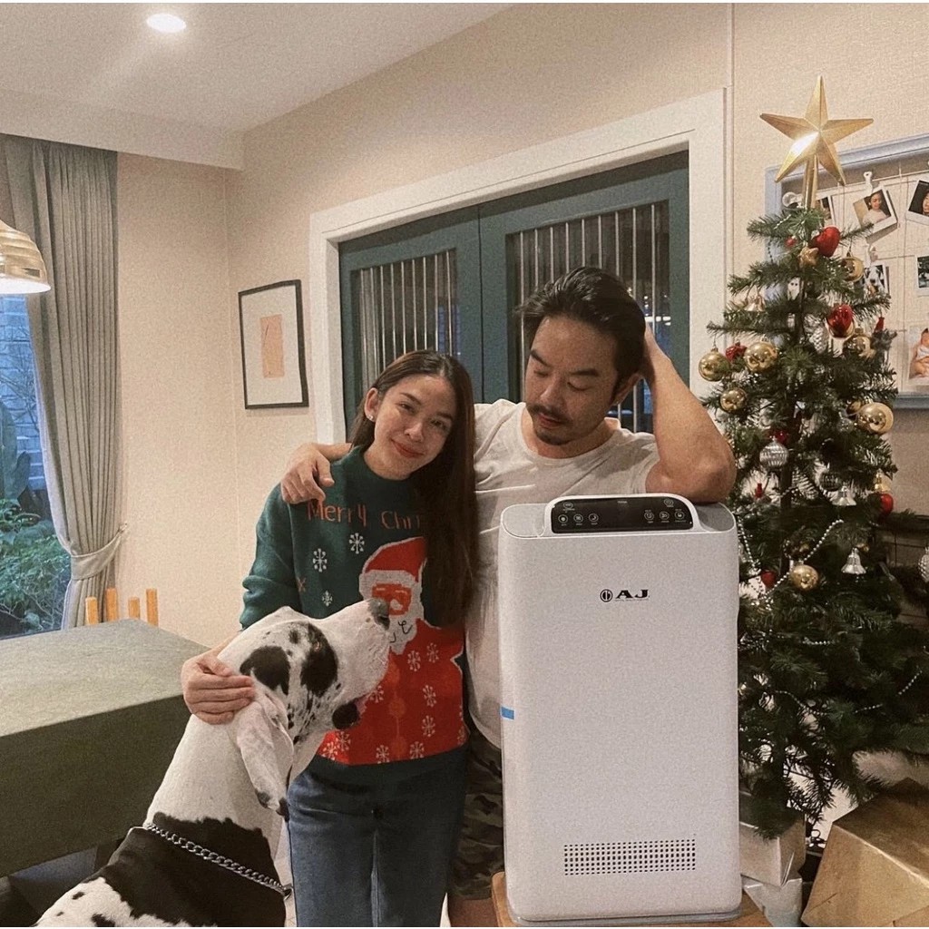 AJ เครื่องฟอกอากาศ HEPA 14 รุ่น AP333 กรอง PM2.5 CADR 317m³/h พื้นที่สูงสุด 38ตร.ม. ควบคุมผ่าน App - รายละเอียดสินค้า 64