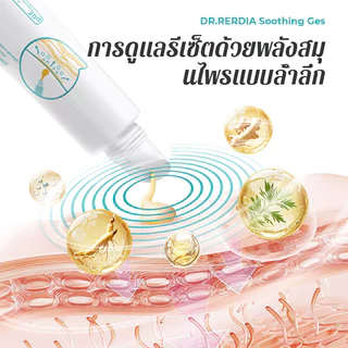 [สินค้าพร้อมส่ง] DR.RERDIA Soothing Gel โสม ขิง ไผ่ สารสกัดจากธรรมชาติ บรรเทาอาการปวดเมื่อยไหล่และคอ ให้ความชุ่มชื้น ไม่เหนียวเหนอะหนะ 30g