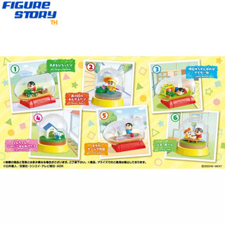 *Pre-Order*(จอง) Crayon Shin-chan Terrarium Mainichi ga Tanoshii zo! 6Pack BOX (อ่านรายละเอียดก่อนสั่งซื้อ)