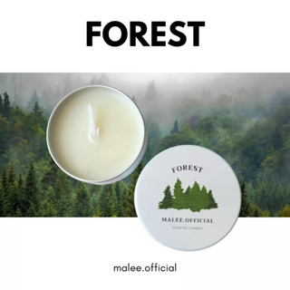 เทียนหอมกลิ่น Forest ตลับขนาด 30ml ไขถั่วเหลือง soy wax organic100%