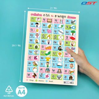 แผ่นความรู้พลาสติก ขนาด A4 (แบบหัดอ่าน ก ไก่-ฮ นกฮูก , แบบหัดอ่านสระ-วรรณยุกต์ไทย) หนา 0.3 มม.