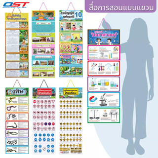 สื่อการสอนแบบแขวน สื่อประกอบการเรียน **ซื้อ 3 ชิ้น เหลือชิ้นละ 145