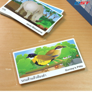 บัตรภาพ สัตว์ป่าสงวนของไทย 2 ภาษา (กล่อง 20 ใบ)