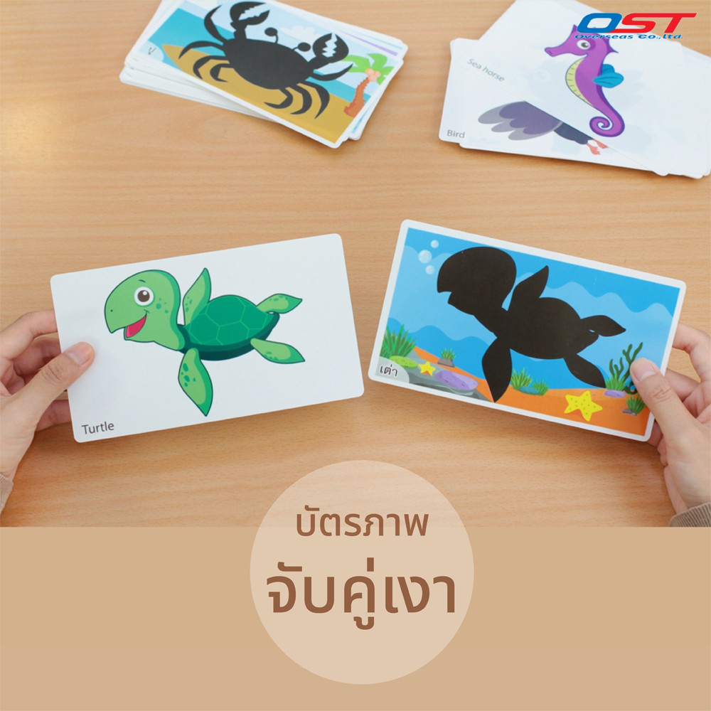 เกมจับคู่ บัตรภาพจับคู่เงา ชุด สัตว์(Animals) เล่นจับคู่ภาพสัตว์และภาพเงา พร้อมคำศัพท์ 2 ภาษา บัตรผลิตจากพลาสติก /ET-318