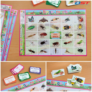 เกมบิงโก Bingo Insects ขนาด 35x50 ซม.