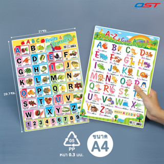 แผ่นความรู้พลาสติก ขนาด A4 (แบบฝึกอ่าน ABC , แบบฝึกอ่าน A-Z Animals) หนา 0.3 มม.