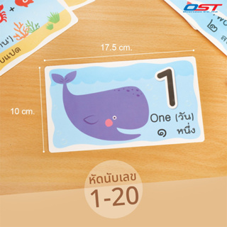 บัตรคำศัพท์ ชุดหัดนับเลข 1-20 (Flashcards)/ ET-117