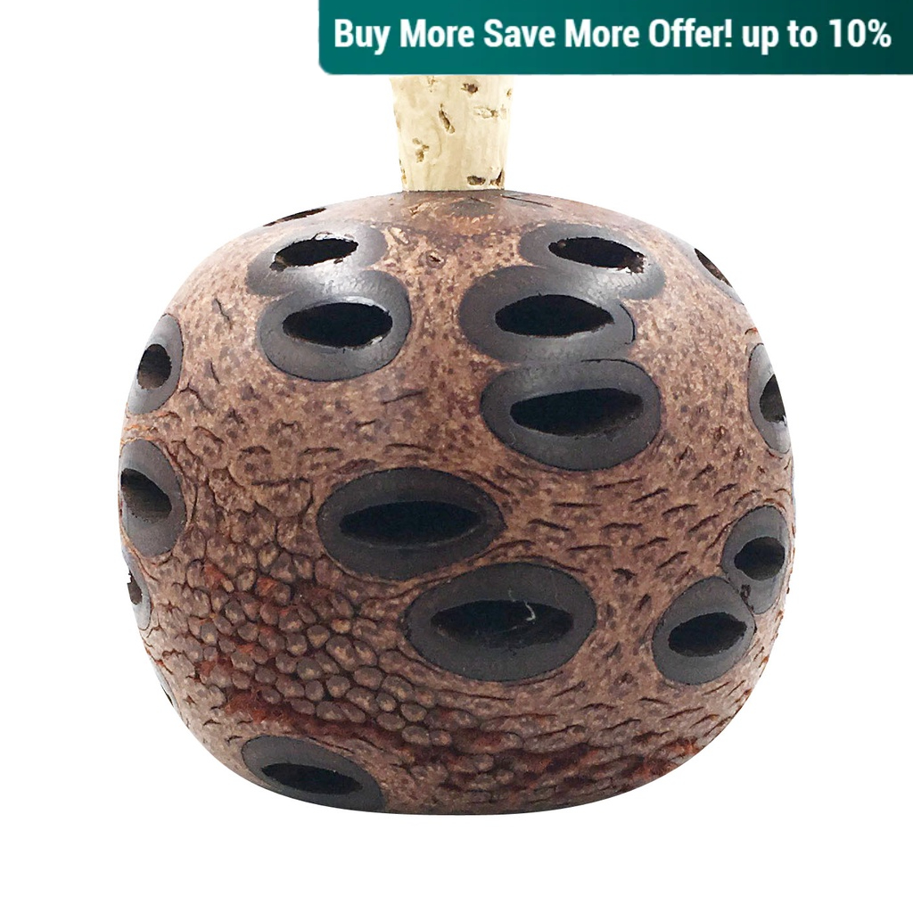 กระถางหอม Banksia (ขนาดใหญ่)
