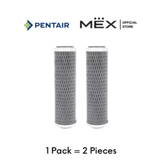 PENTAIR รุ่น CTS-100M CART PACK 2 PCS :ไส้กรองน้ำดื่มระบบ MF 0.5 ไมครอน แพ็ค 2 ชิ้น