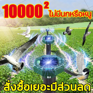 🔥10000เมตร ไม่มีนกหรือหนูไล่นกพิราบ🔥（เครื่องไล่นกพิราบ เครื่องไล่นก อุปกรณ์ไล่นก กำจัดนก ไล่นกพิราบ）