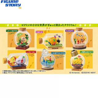 *Pre-Order*(จอง) Pikmin Terrarium Collection 6Pack BOX (อ่านรายละเอียดก่อนสั่งซื้อ)