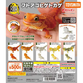 [สินค้าพร้อมส่ง] กาชาปองตุ๊กแกตัวลับเหลืองดำ ,Gachapon Bandai Ikimono Encyclopedia Advance Bearded Dragon Mini