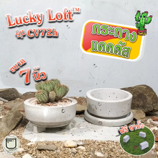 กระถางแคคตัส 7นิ้ว กระถางกระบองเพชร ไม้อวบน้ำ ทรงวี ฐานแคบ มินิมอล&amp;ลอฟท์ "Lucky Loft™ CV72H"