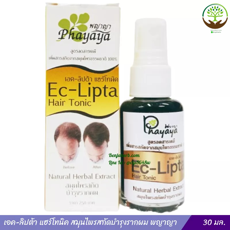 เอค-ลิปต้า แฮร์โทนิค สมุนไพรสกัดบำรุงรากผม พญาญา Ec-Lipta (30 มล.)