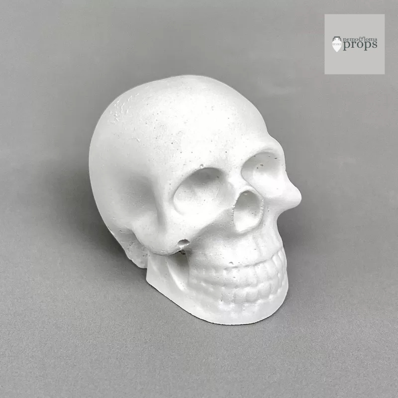 พร็อพถ่ายภาพสินค้า ☠️💀หัวกะโหลกเล็ก💀☠️ พร็อพแต่งบ้านสไตล์มินิมอล งานHandmade ทนทุกสภาพการใช้งาน