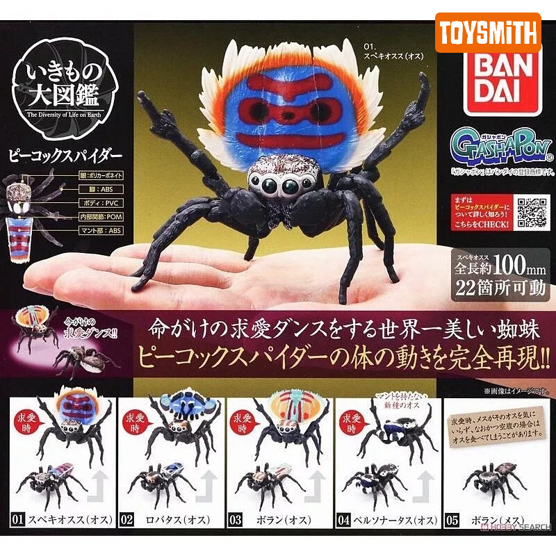 [พร้อมส่งในไทยแบบระบุตัว] กาชาปองแมงมุมนกยูง Gashapon Bandai Dango Mushi Peacock Spider Action V.01