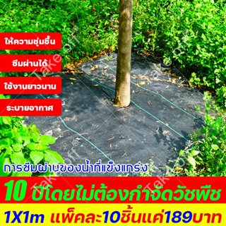 ผ้าคลุมหญ้า 1X1m แพ็คละ10ชิ้นแค่189บาท ผ้าคลุมดิน พลาสติกคลุมหญ้า พลาสติกคลุมดิน คลุมวัชพืช กำจัดหญ้า ฆ่าหญ้า